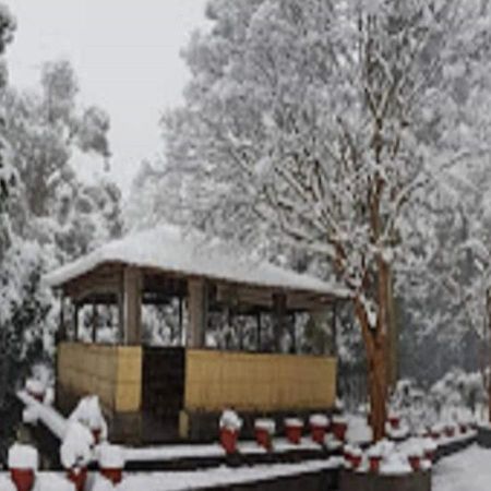 Chevron Rosemount Hotel Ranikhet Exterior photo